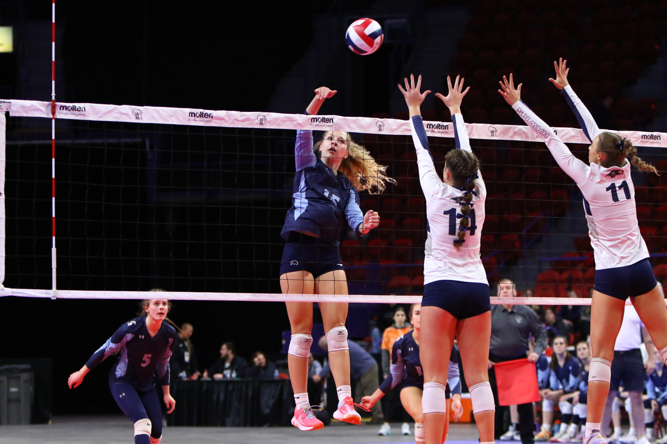 Volleyball